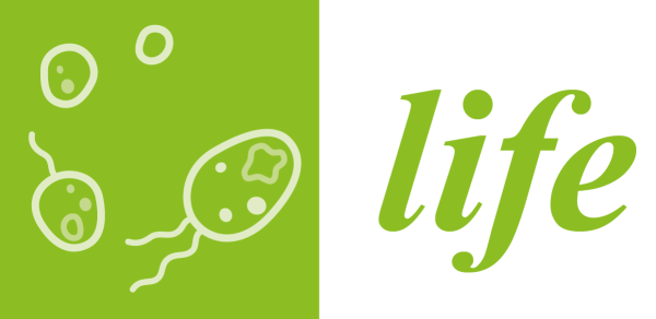 Easy food логотип