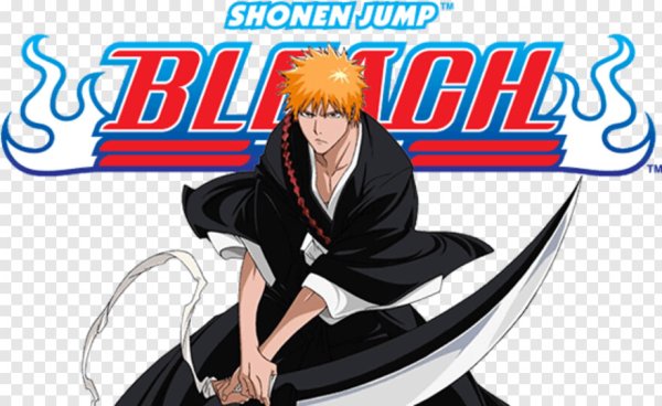 Блич название