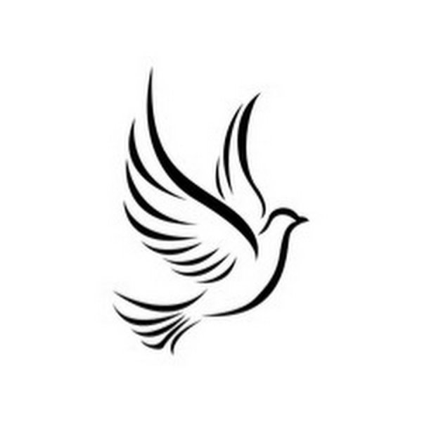 Крылья голубя вектор