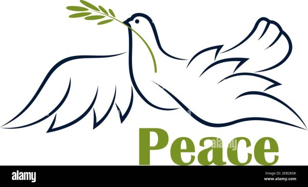 Логотип компании dove