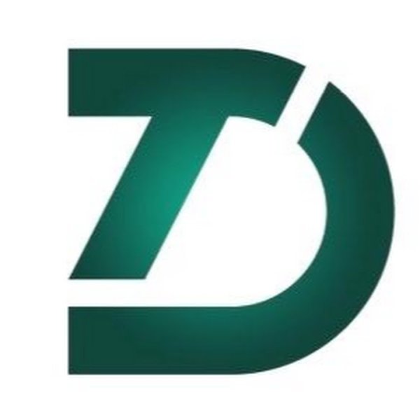 Логотип с буквой ТД