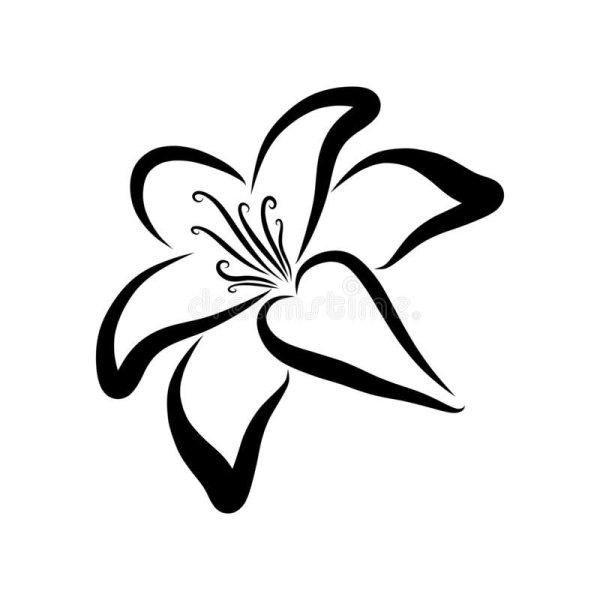 Лилия вектор