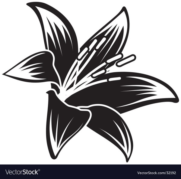 Стилизованная Лилия логотип