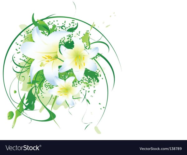 Белая Лилия логотип