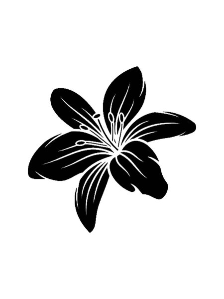 Силуэт лилии