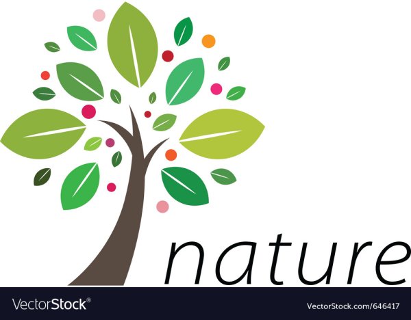 Куртка с деревом на логотипе