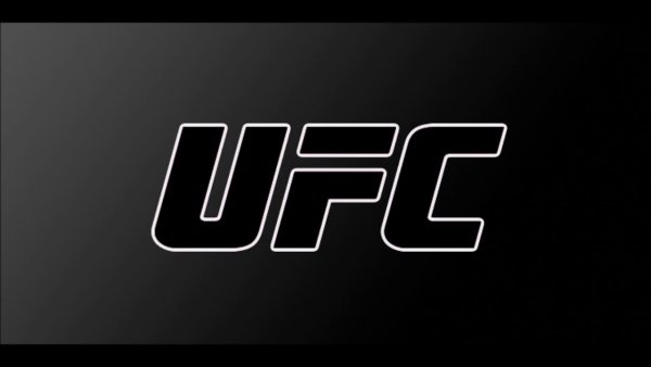 UFC надпись