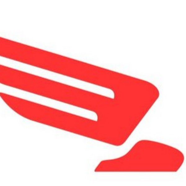 Эмблема РЖД Сапсан