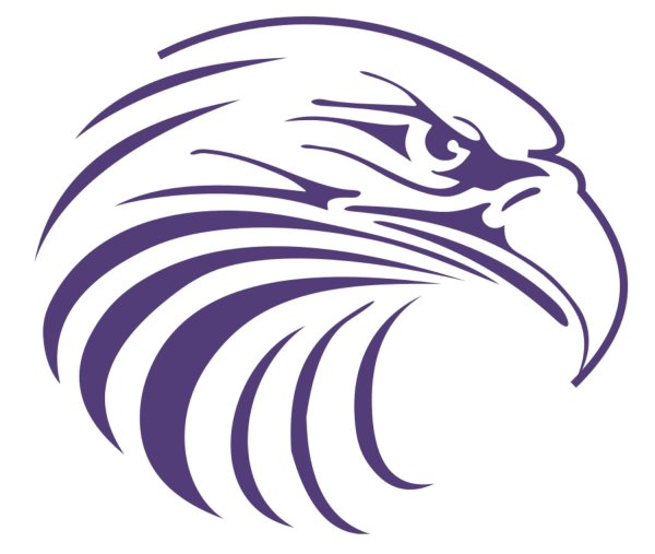 Эмблема отряда Сапсан