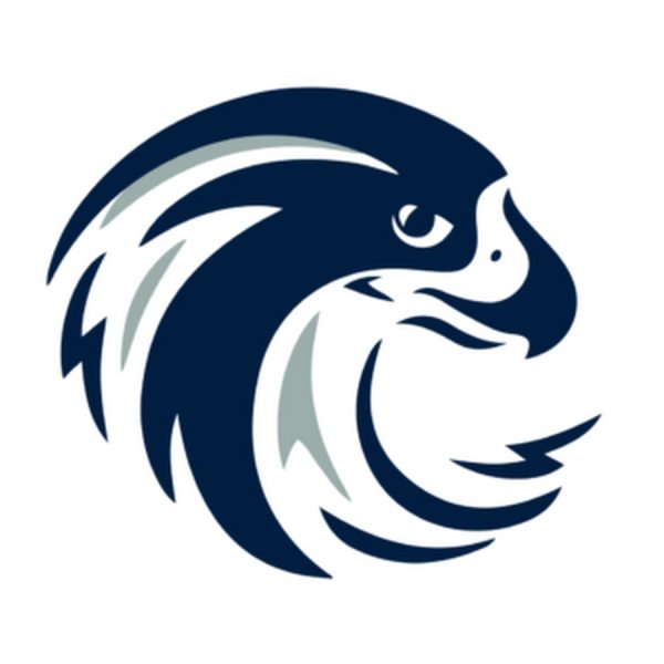 Сапсан птица логотип