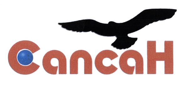 Сапсан фирменный знак