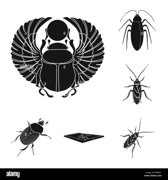 Логотип насекомые