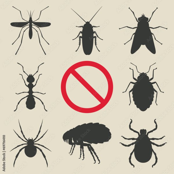 Стилизация насекомых в круге