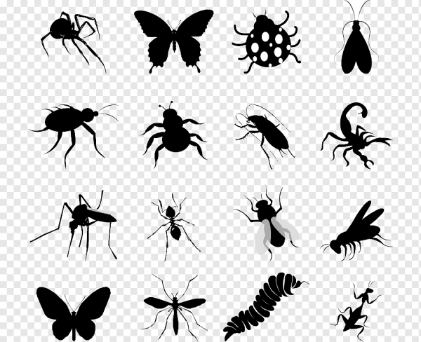 Комар пиктограмма