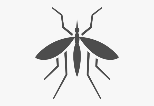 Символ насекомых
