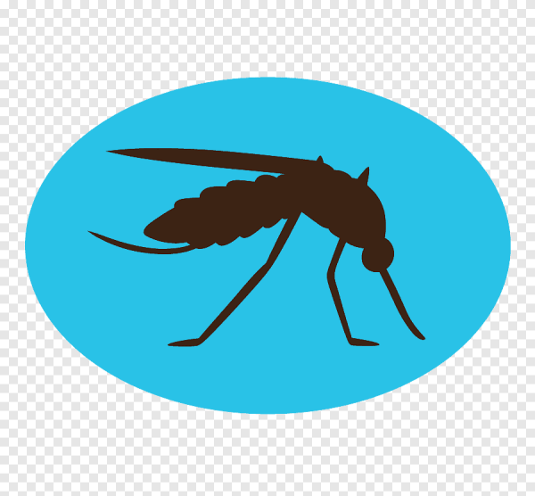 Насекомые иконка