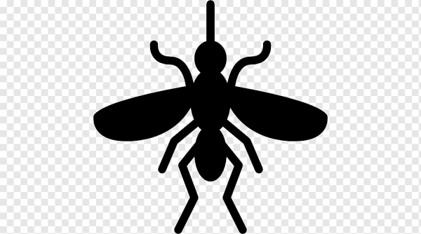 Силуэт необычных насекомых