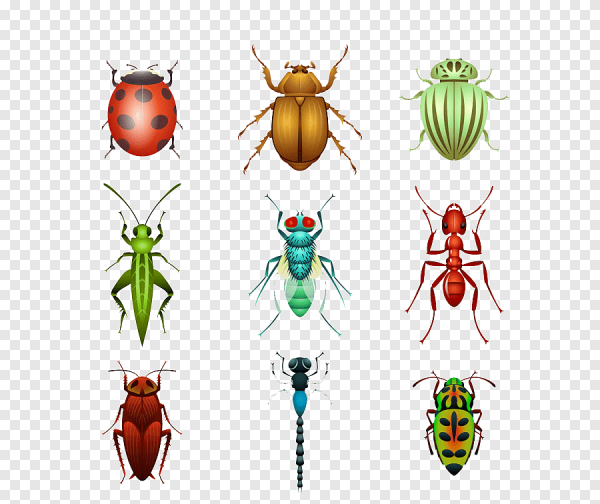 Насекомые лого