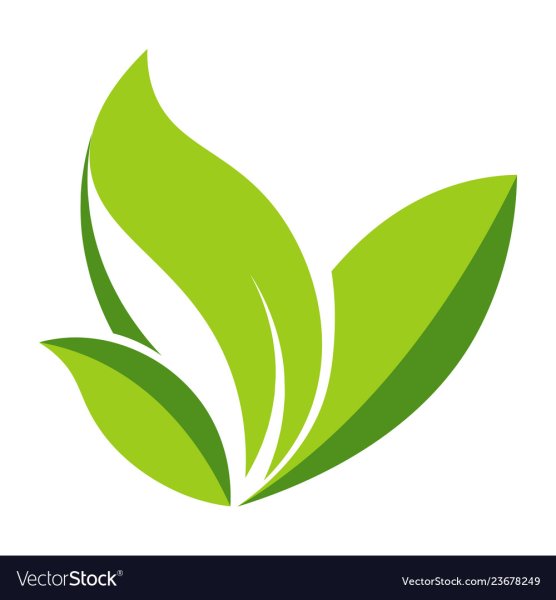 Логотип зеленый листок