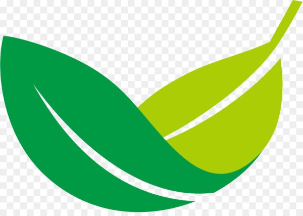 Зеленый лист вектор