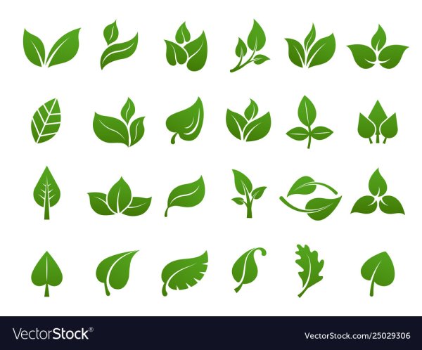 Лист эко вектор