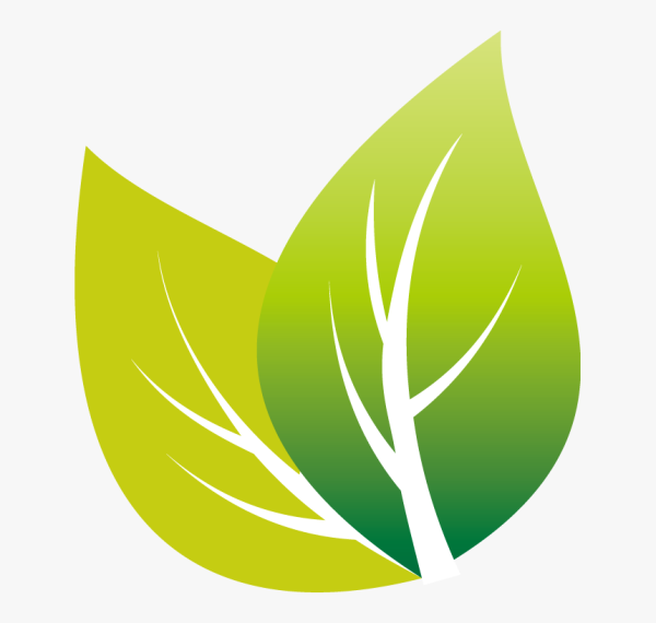 Green Tea Leaf вектор