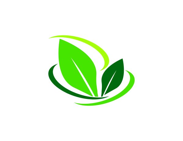 Логотип листочек зеленый