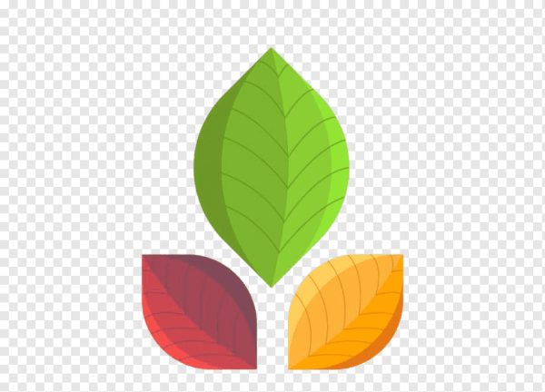 Красивые листочки для логотипа