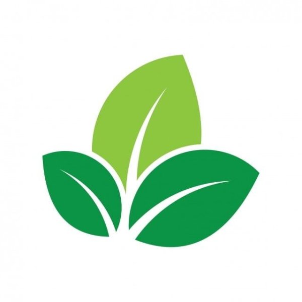 Зеленый лист иконка