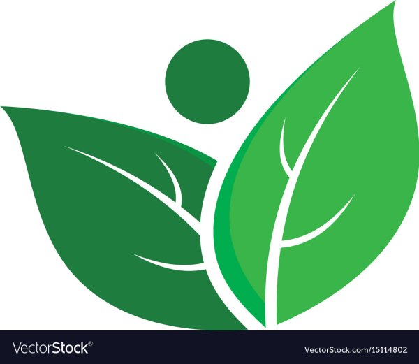 Экологический листок