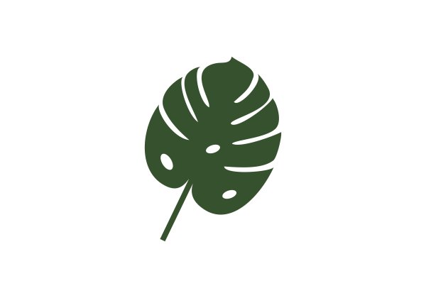 Monstera вектор