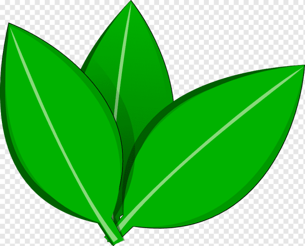 Знак зеленого листа