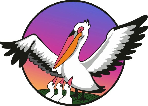 Пеликан педагог года