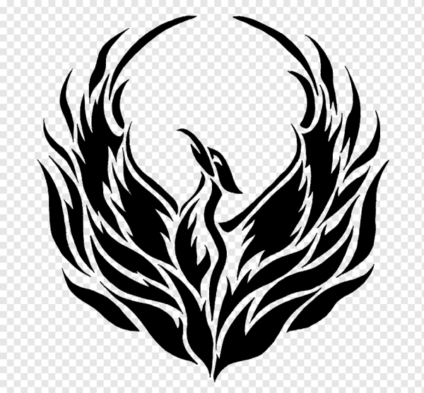 Феникс черно белый