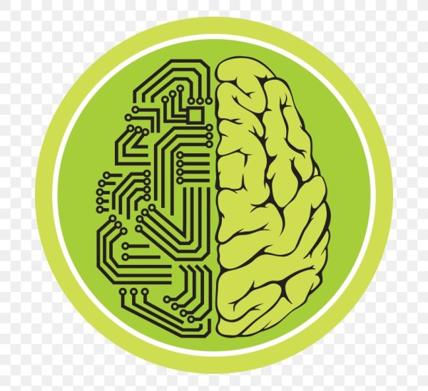 Мозг Лабиринт