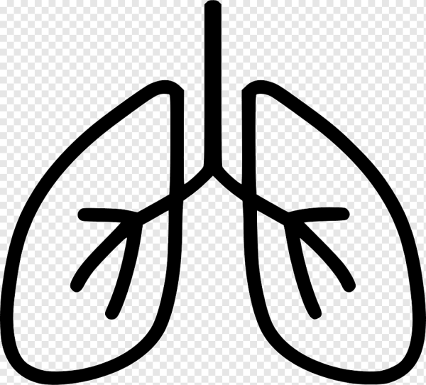 Элементы для логотипа