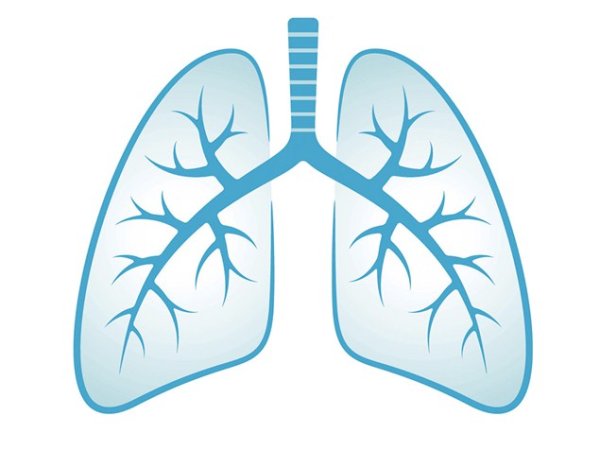 Значки для логотипа