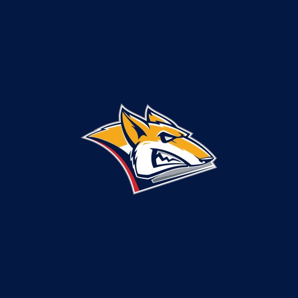 Значок хк Металлург