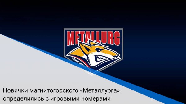 Металлург Магнитогорск хоккей эмблема