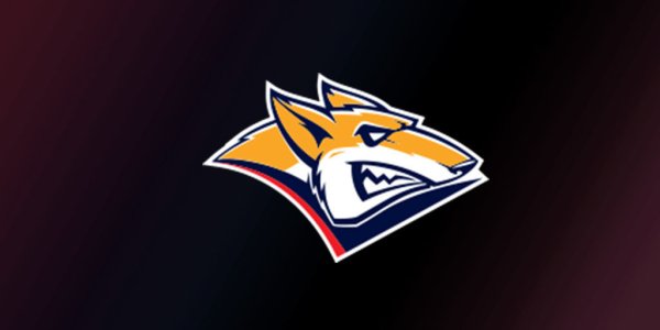 Металлург Магнитогорск хоккейный клуб