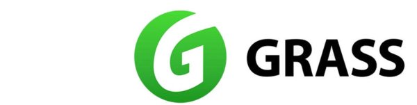 Detail grass логотип