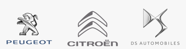 Peugeot Citroen DS logo