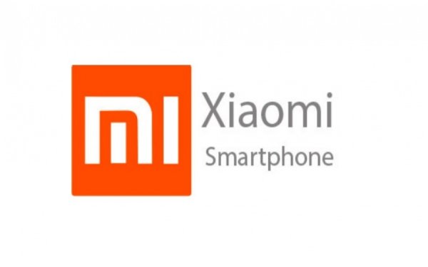 Xiaomi фирменный знак