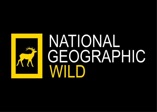 National Geographic логотип