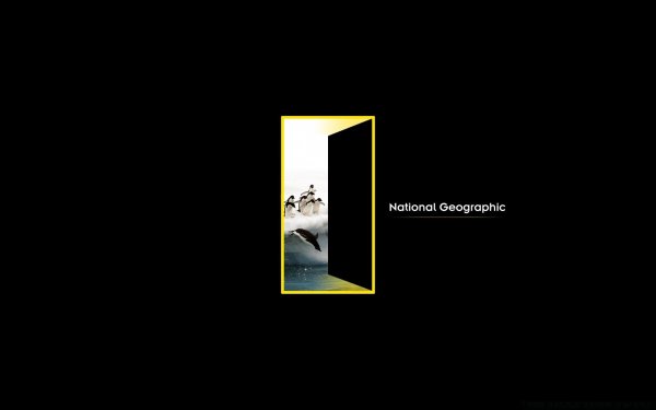 National Geographic channel Телеканал