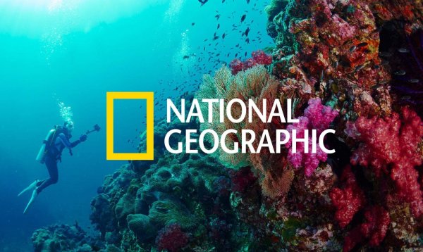 Nat geo Wild Телеканал