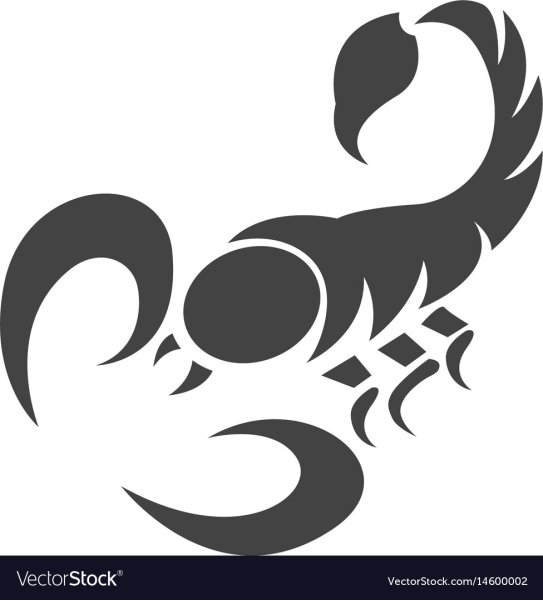 Скорпион вектор