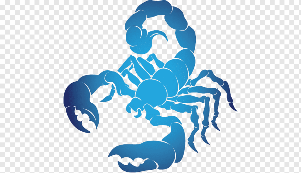 Скорпион знак зодиака знак