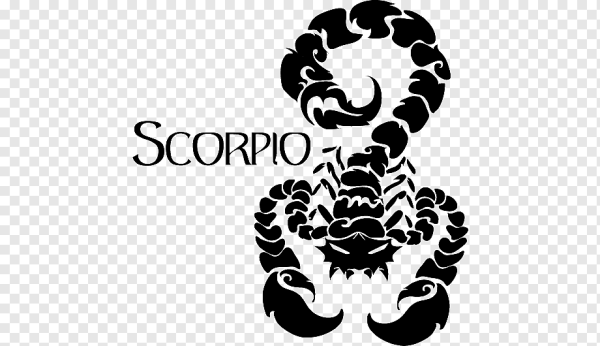 Scorpio надпись для тату