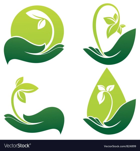 Символ чистоты